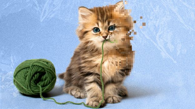 📸 هوش مصنوعی و بحران محتواهای غیرواقعی؛ آیا ویدیوهای حیوانات دیگر واقعی نیستند؟