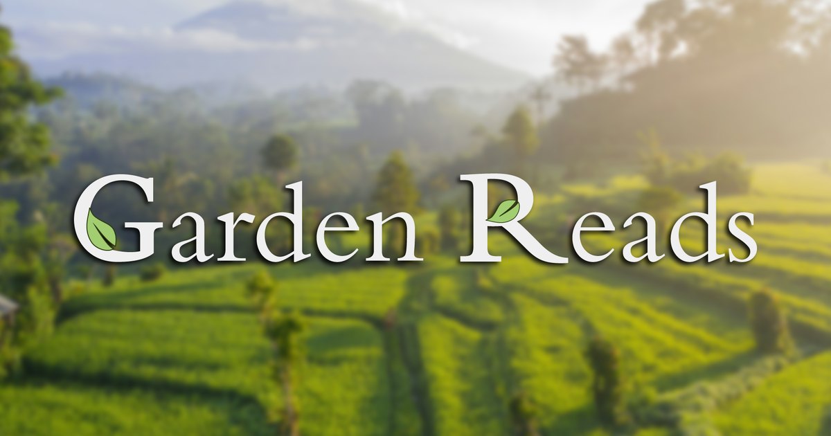 📖 کتاب‌خوان آفلاین با طعم هوش مصنوعی: معرفی Garden Reads